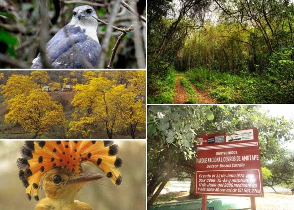Parque Nacional Cerros de Amotape